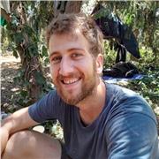 Professor de dibujo da lecciones de dibujo para principiantes